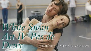 Swan Lake PDD  Nela Nunez and Vadim [upl. by Eetnahc]