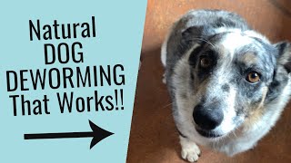 Natural Way to Worm Dogs with Diatomaceous Earth Fast [upl. by Son]