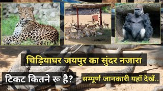 Jaipur biological park information entry feesway to Jaipur zooexperience of Jaipur zoo seen india [upl. by Yror]