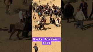 Norka chovahon todhkenttòri surqash rek trend kopkari chinorreelsreelsvideo dehqonobod [upl. by Sucramaj]