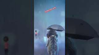 😪😪🤩sad cat in short video cat funny shortsviral [upl. by Ijan]