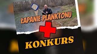 KONKURS  ŁAPANIE PLANKTONU akwarystyka akwarium diversa plankton konkurs [upl. by Aniral456]