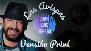 Las avispas versión Privé  Piano Tutorial  Piano Cover [upl. by Susan997]