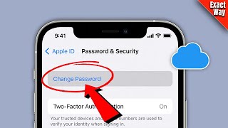 2 Ways How to change icloud password on iphone  Full Guide [upl. by Garwin843]