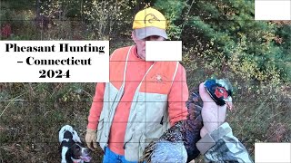 Pheasant hunting in Connecticut [upl. by Puglia]