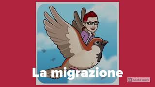 La migrazione [upl. by Malcah19]