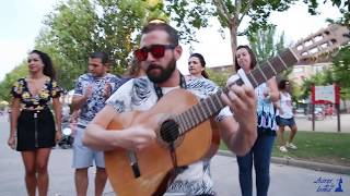 La Bicicleta Cover flamenco Grupo Rociero Aires de la Loma Úbeda [upl. by Ainegul]