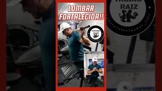 LOMBAR FORTALECIDAtreinoraiz academia querotreinar musculação personaltrainer muscle fitness [upl. by Fretwell]