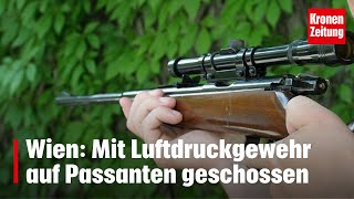 Wien Mit Luftdruckgewehr auf Passanten geschossen  kronetv NEWS [upl. by Poirer]