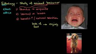 Ethology and animal behavior [upl. by Halli974]