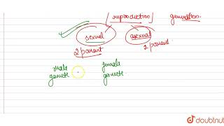 State true or false In most of the sexually reproducing organisms isogametes are formed [upl. by Koffler]