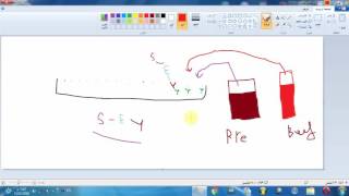 شرح تقنية immunoassay المستخدمه في المختبرات الطبية [upl. by Jameson468]