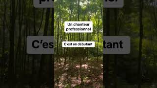 Comment devenir chanteur pro [upl. by Noissap]