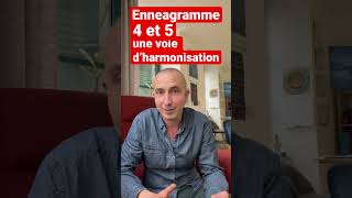 Ennéagramme  4 et 5… une voie d’harmonisation [upl. by Niu]