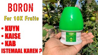 How To Use Boron Fertilizer On Plants IN HINDI Benefits Of Boron In Plants  Boron Ethanolamine [upl. by Saerdna]