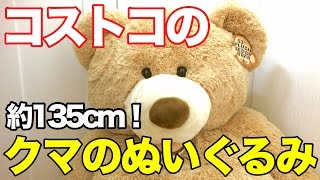 【所沢Jr】コストコの大きなクマのぬいぐるみの紹介！ [upl. by Ehr]