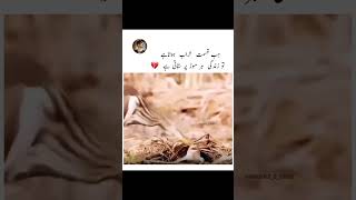 Qismat khrab shortclips duet qismat [upl. by Eceeryt569]