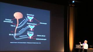 Congres Urologie  20 april 2015  Dr Jo Ampe  OAB  deel 1 [upl. by Anirod]