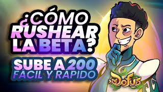 CÓMO RUSHEAR LA BETA DOFUS UNITY NIVEL 200 Y 6 500 PUNTOS DE LOGRO [upl. by Acile]