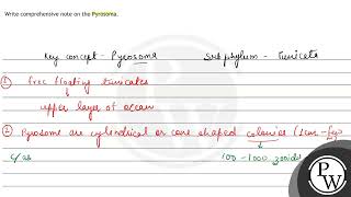 Write comprehensive note on the Pyrosoma [upl. by Nitsyrc609]