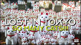 LOST in TOKYO quotGOTOKUJI SHRINEquot SO MANY CATS  Walking Travel Japan [upl. by Navert]