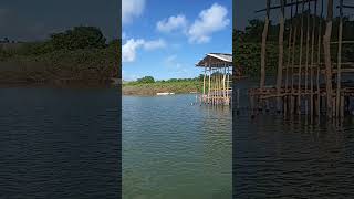 Gato seco filma os caiaqueiros em Jequiá da Praia [upl. by Erdne]