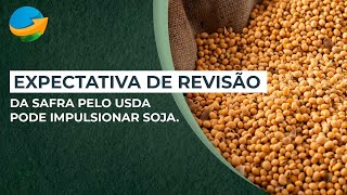 Expectativa de revisão da safra pelo USDA pode impulsionar soja [upl. by Stier399]