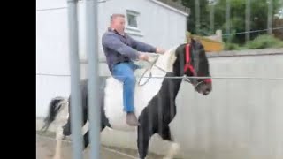 Horse Speed Lane at Ballinasloe Horse Fair [upl. by Nikral]