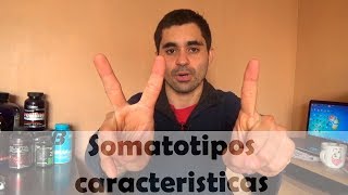 somatotipo ectomorfo mesomorfo y endomorfo [upl. by Lenhard]