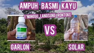 AMPUH BASMI KAYU GARLON VS SOLAR 1 MINGGU LANGSUNG RONTOK [upl. by Hartzel]