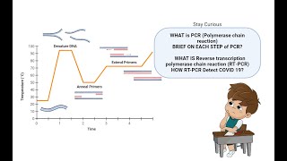 Unraveling the Mystery PCR vs rtPCR and How They Detect COVID19 II in Hindi II pcr rtpcrtest [upl. by Anawk645]