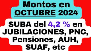 MONTOS a cobrar en OCTUBRE 2024 en JUBILACIONES PNC Pensiones AUH SUAF con la suba del 42 [upl. by Eustis428]