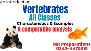 Classification of the 5 groups of vertebrates  The Animal Kingdom [upl. by Festatus]