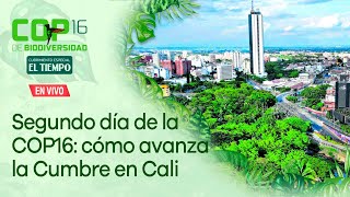 Segundo día de la COP16 le mostramos cómo avanza la Cumbre de Biodiversidad en Cali [upl. by Ellenad]