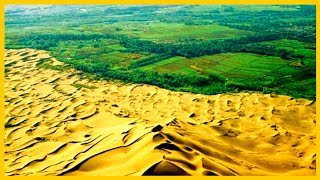 MIRACLE OF THE CHINA DESERT  China and Arab Race to Green the Desert [upl. by Xymenes]