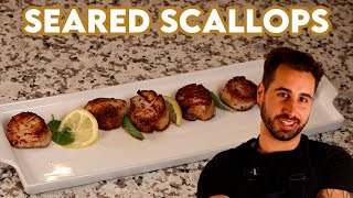 How to Cook Perfect Scallops [upl. by Zertnom]