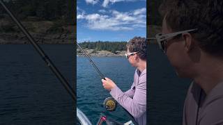 Unbelievable Lingcod Catch Watch till the End fishing fish bigcatch fishingdaily fishingworld [upl. by Stegman]