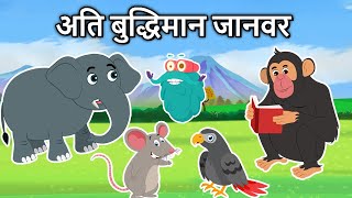 कौनसा जानवर अति बुद्धिमान है  Super Intelligent Animals In Hindi  Dr Binocs Show [upl. by Campy]