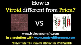 5 Differences between Viroids and Prions Viroids vs Prions in 5 minutes [upl. by Aidaas419]