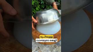 വാഴ ജെല്ലി banana corm jelly malayalam short [upl. by Aronel]