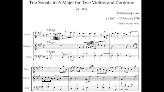 Johann Joseph Fux  Trio Sonata in A major K340 w score [upl. by Worsham777]