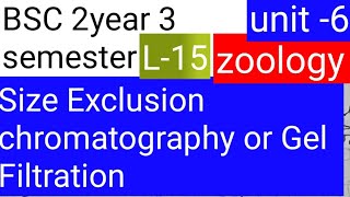 BSC 2nd year 3 semester zoology topic Size Exclusion chromatography o Gel filtration [upl. by Lizbeth]