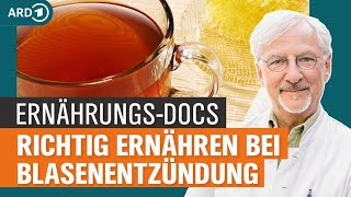 Blasenentzündung mit Gemüse und Gewürzen behandeln  Die ErnährungsDocs  NDR [upl. by Aioj]