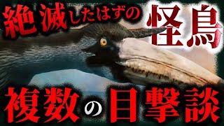 【未確認生物 UMA】史上最大の鳥⁉生態系の頂点に君臨した古代生物「ペラゴルニス・サンデルシ」 [upl. by Eceerahs]