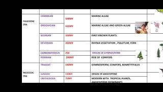 Introduction of Paleobotany and Geological time Scal [upl. by Etnecniv569]