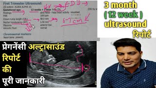 12 week ultrasound  sonography se kaise jane ladka hai ya ladki  6 week ultrasound  trimester [upl. by Warfourd]