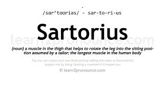 Sartorius pronunciation and definition [upl. by Esaj]