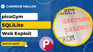 picoGym picoCTF Exercise SQLiLite [upl. by Ilise]