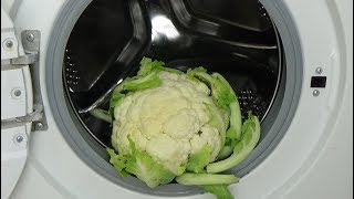 Experiment  test Cauliflower in a Washing Machine cauliflower destroyed by centrifuge movie 66 [upl. by Leen333]