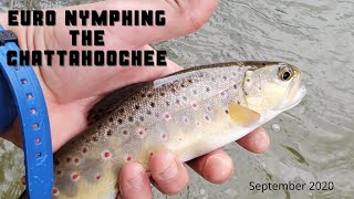 Euro Nymphing the Chattahoochee  September 2020 [upl. by Kieger]